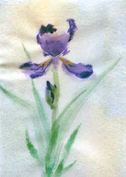 "Purple Iris" by Marilyn Eldien, West Allis WI - Oriental Brush Watercolor